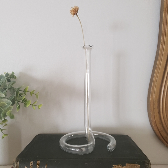 None Accents Vintage Glass Test Tube Bud Vase Poshmark